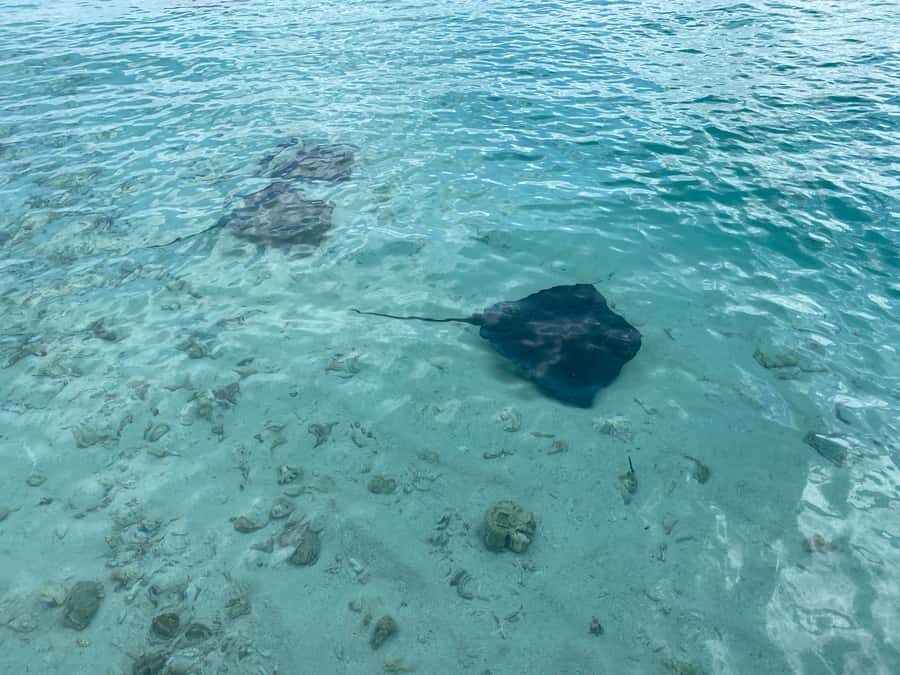 From San Andres: Cayo Acuario Tour - Crowds, Expectations, and Finding Your Own Peace in the Water