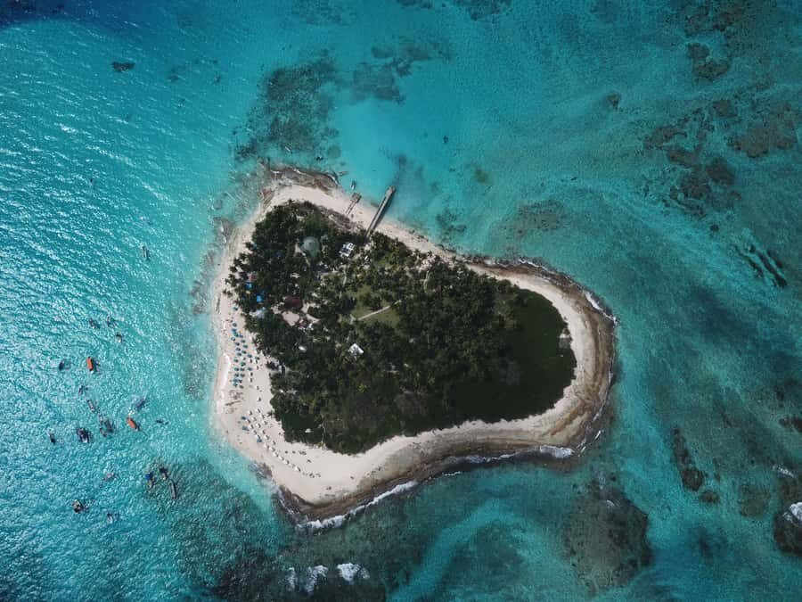 From San Andrés: Speedboat Tour to Johnny Cay Island - What you might see beyond the shoreline: aquarium, mangroves, and bay sights