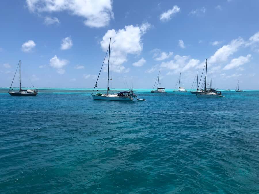 From San Andrés: Speedboat Tour to Johnny Cay Island - Food and drinks on Johnny Cay: you’ll buy it, not pack it
