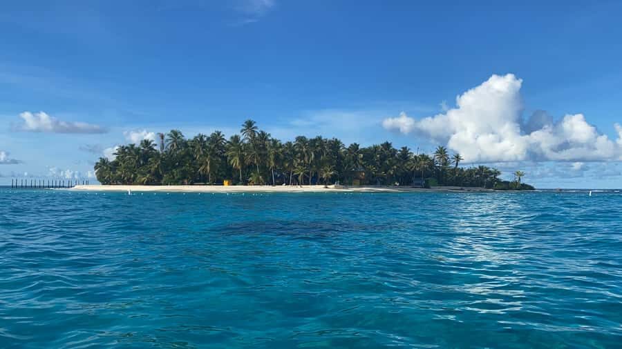 From San Andrés: Speedboat Tour to Johnny Cay Island - Johnny Cay beach time: water clarity, iguanas, and wildlife viewing