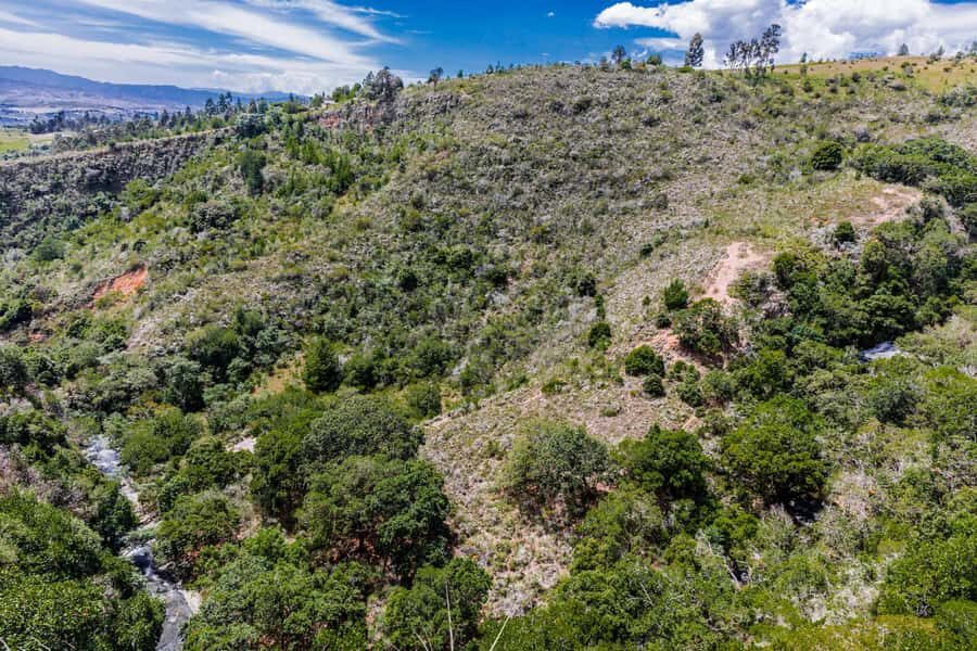 From Villa de Leyva: La Periquera Hiking Tour - From Villa de Leyva to La Periquera Park: the change of scenery you’ll feel fast