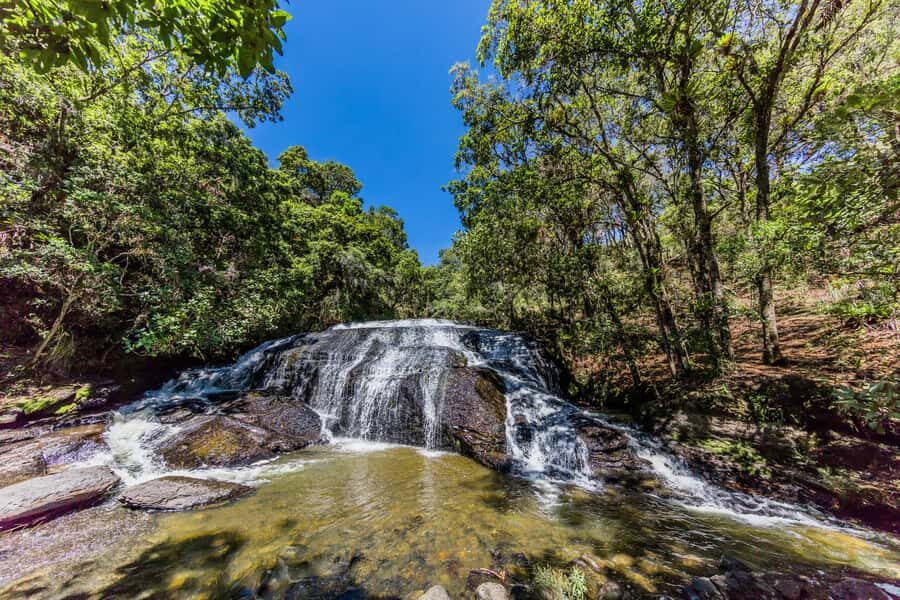 From Villa de Leyva: La Periquera Hiking Tour - Entering the trail: endemic plants and the park’s route through the Cebada riverbed