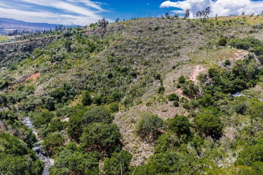 From Villa de Leyva: La Periquera Hiking Tour - The short flora and fauna lesson that makes the walk click
