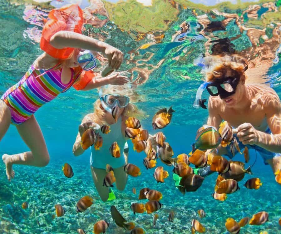 Full Day Barú island: Mangrove +Snorkel + Sunset + Plankton - Why $69 can be good value (or not), depending on what you care about