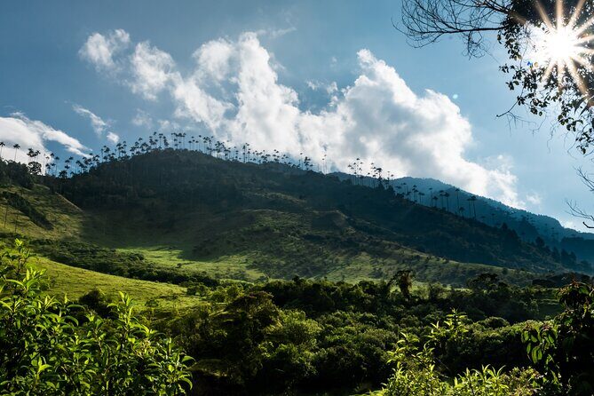 Full Day Climbing The Cocora Valley with Lunch - Salento to Cocora by Jeep: the easy start to a mountain day
