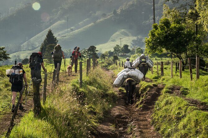 Full Day Climbing The Cocora Valley with Lunch - Who should book this Cocora Valley day, and who might want another plan