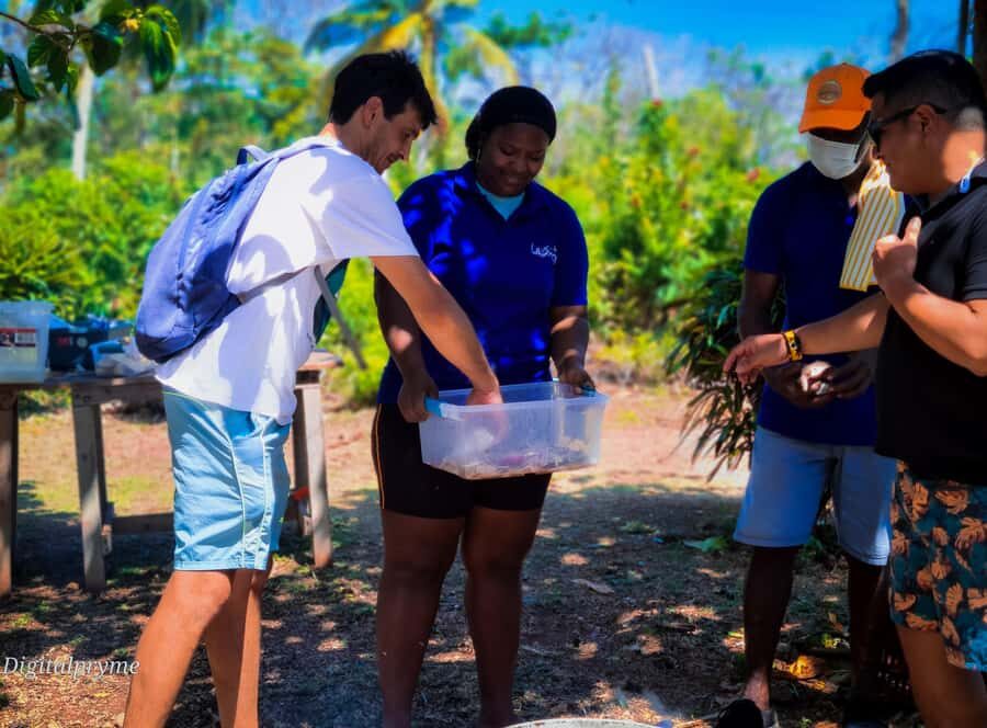 Gastronomic and musical experiences in San Andres Rondontour - What you cook and eat: rondón with coconut milk and island staples