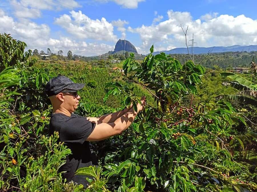 Guatapé & Coffee Farm, all in one day - Key highlights you’ll care about
