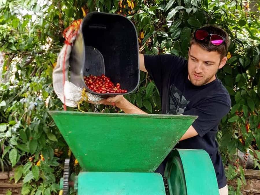 Guatapé & Coffee Farm, all in one day - Should You Book the Guatapé & Coffee Farm Day Trip?
