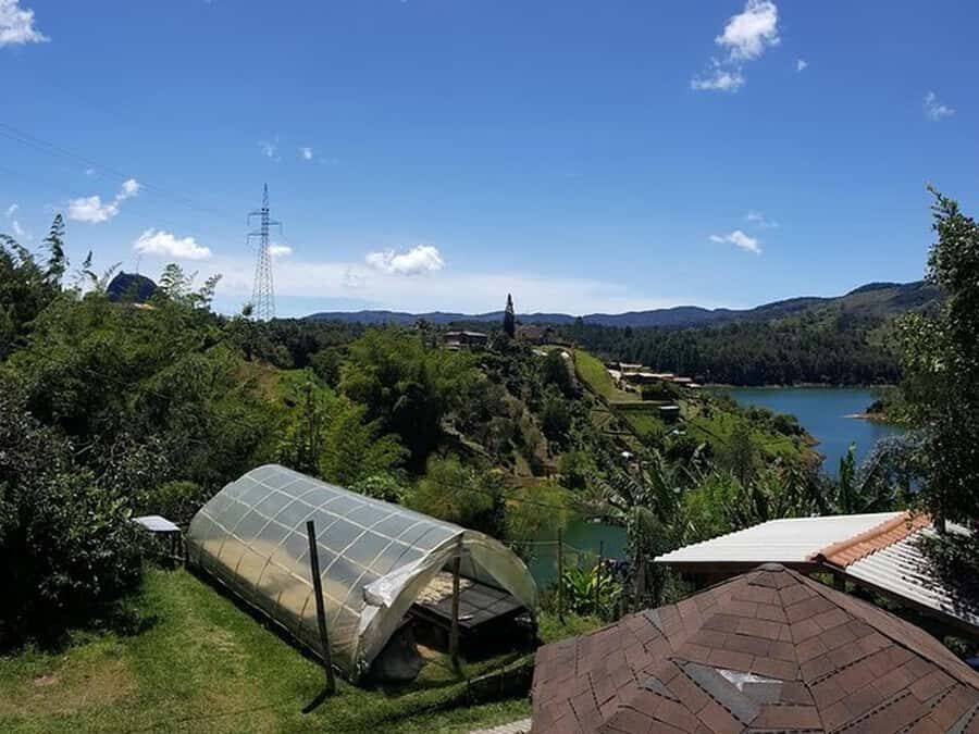 Guatapé & Coffee Farm, all in one day - El Peñol Market Fruit Tasting: A Simple Start That Sets the Tone