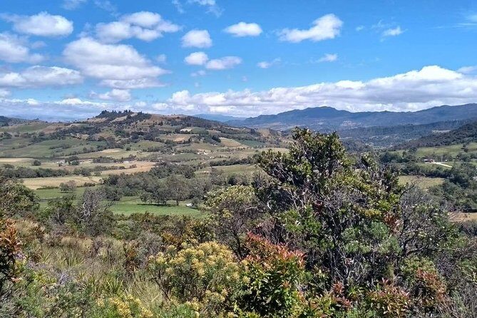 Guatavita Lake & Salt Cathedral Tour. - Lunch and Practical Extras That Actually Help