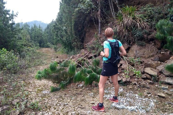Hiking Mountains and Magical Forests - Getting to Envigado’s Vereda El Salado: close to Medellín, worlds away