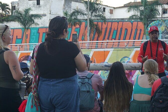 Historical Shared Tour Salsa, Graffiti & Resistance in Cali - Parque de las Piedras and the Departmental Institute of Fine Arts