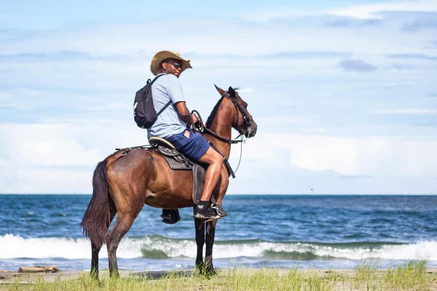 HORSE TOUR IN CARTAGENA BEACH - Getting there from Cartagena and cruise ports: how pickup plays out