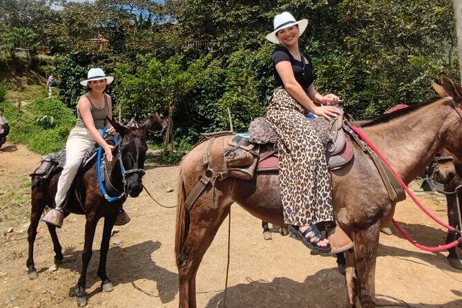 Horseback Riding Adventure from Medellin - Meet your horse and learn the basics without stress