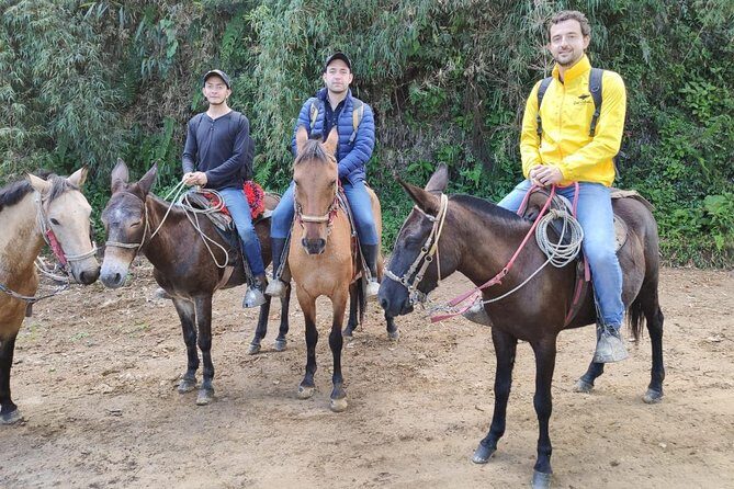 Horseback Riding from Guadalupe to Monserrate Private Day-Tour - Santuario Virgen de Guadalupe: city views plus trail connections
