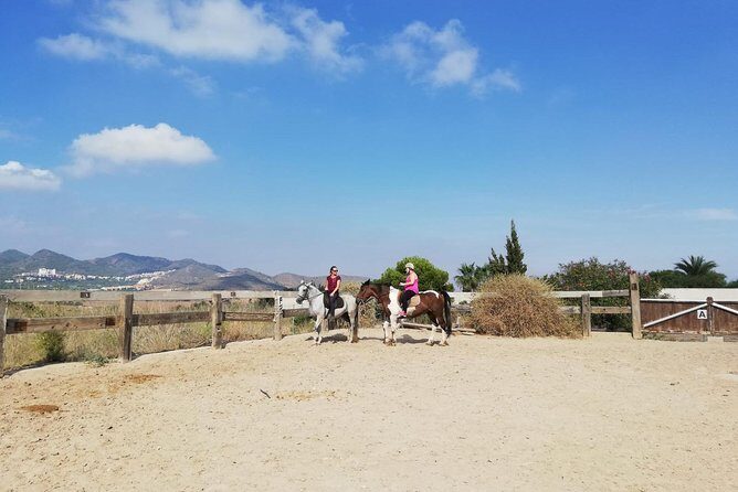 Horseback Riding in Cartagena (Spain) - Timing and logistics: the “2.5 hours” that adds up