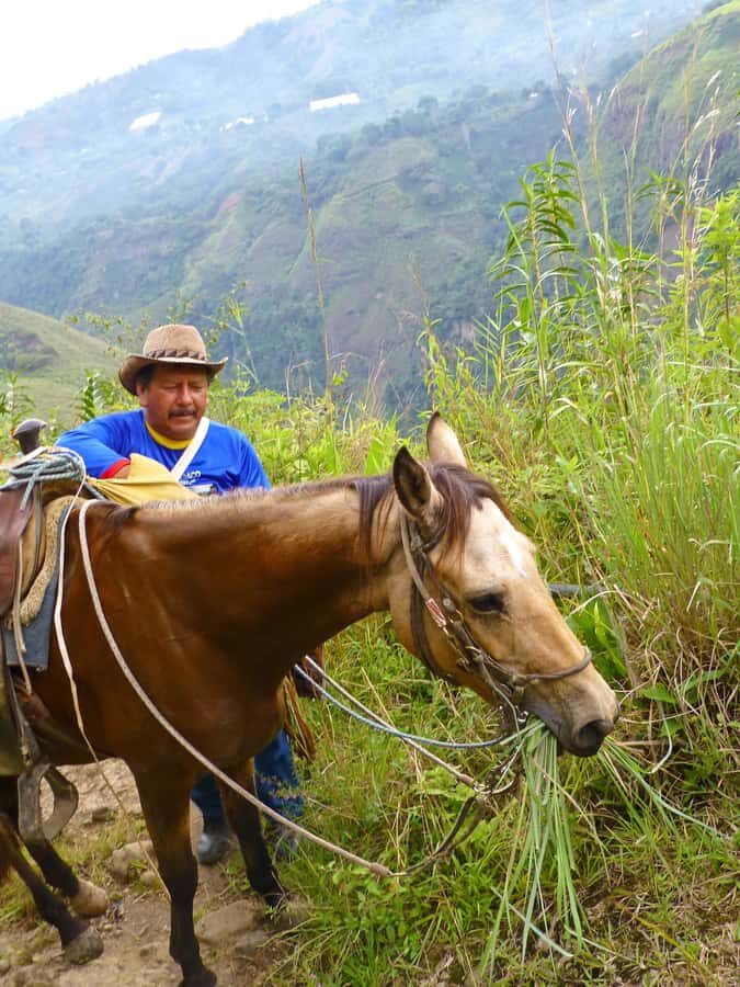 Horseback Riding Tour and visit to Tablón, Chaquira, Pelota - Key things to know before you go
