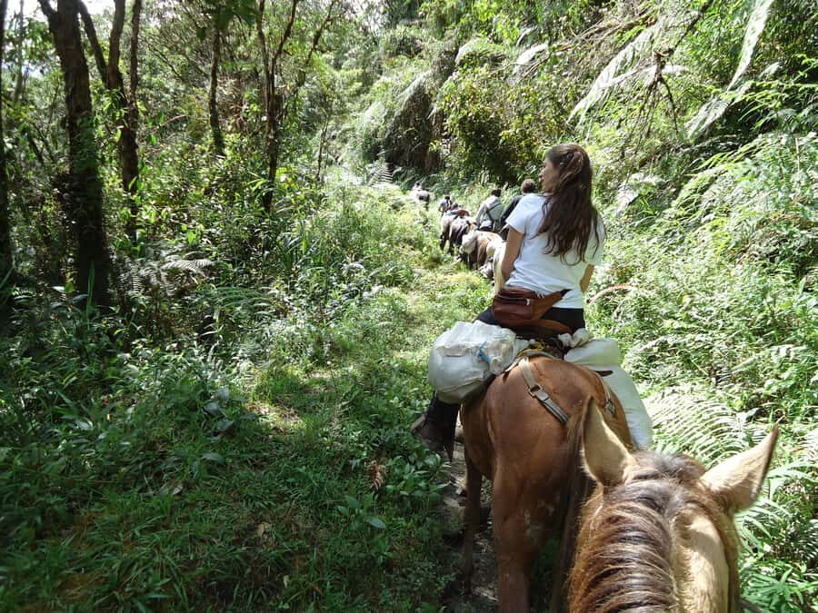 Horseback Riding Tour and visit to Tablón, Chaquira, Pelota - La Chaquira Stop: A Guided Break with Photos and Context