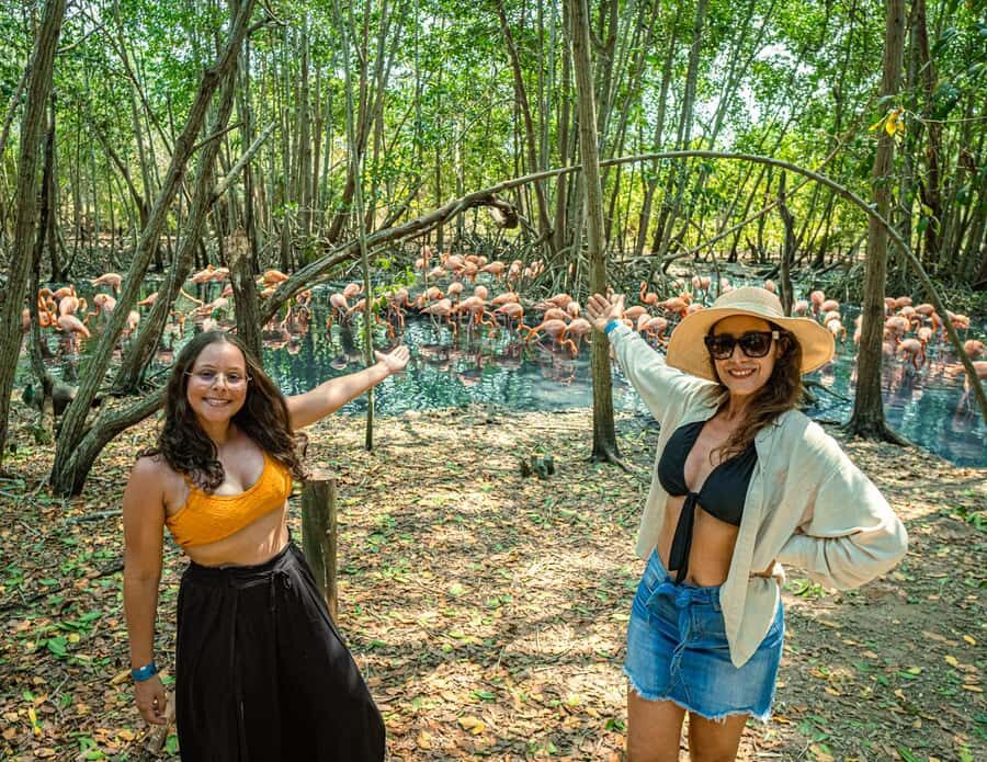 Isla Barú: Beach Club Access and Tour of the National Aviary - From Cartagena to Barú: the ride sets the mood