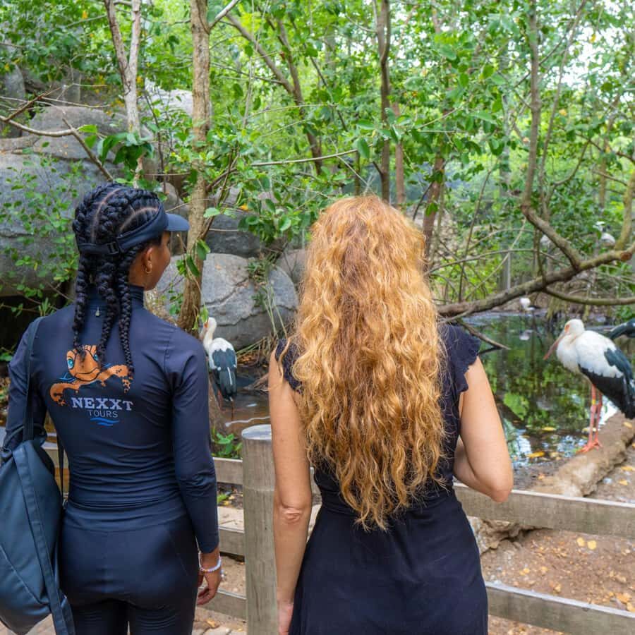 Isla Barú: Beach Club Access and Tour of the National Aviary - Barú Bridge and the Canal del Dique: more than a commute