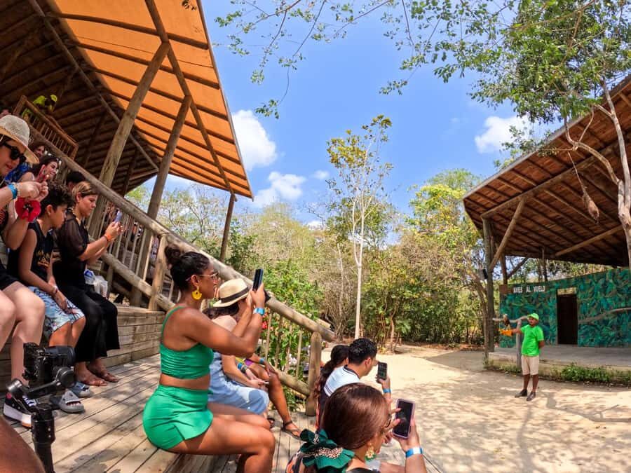 Isla Barú: Beach Club Access and Tour of the National Aviary - Playa Blanca on Barú: swimming, lunch, and the crowd reality