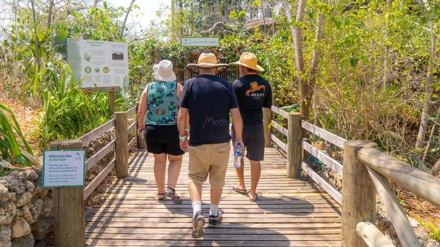Isla Barú: Beach Club Access and Tour of the National Aviary - Who should book this tour?