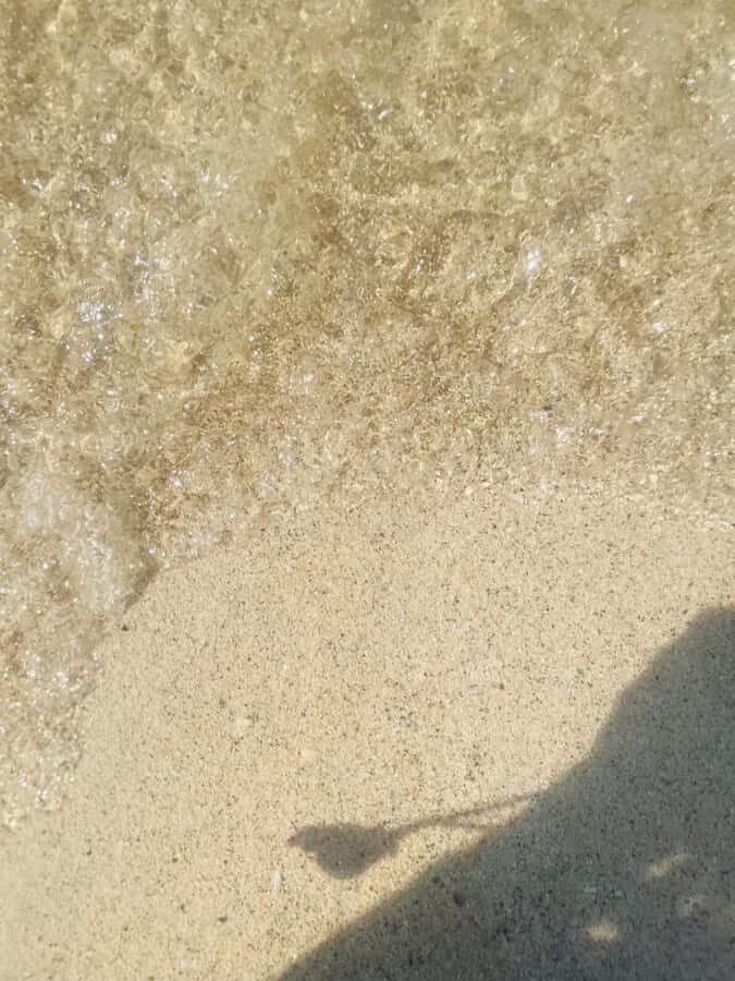 Isla Tierra Bomba beach club: Day Pass with typical food - Key highlights to know before you go
