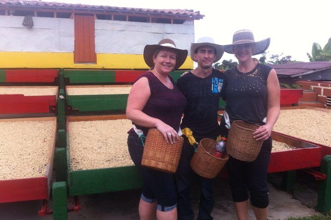 Jardin Private Day Trip: Colombian Coffee Tour from Medellin - Medellín to Jardín: why this coffee day trip works