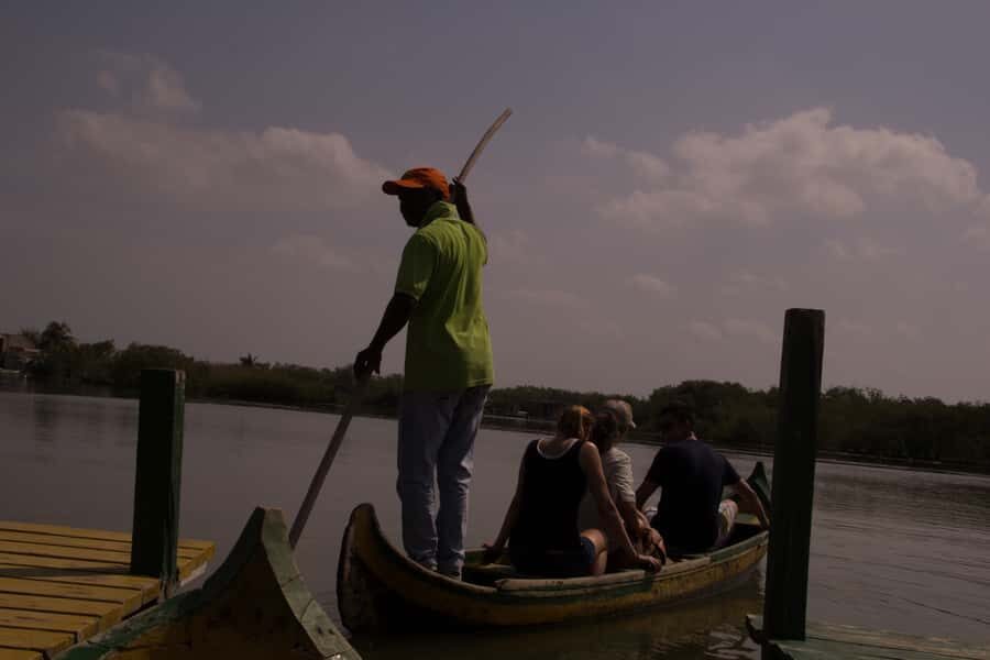 La Boquilla: 3-Hour Canoe Tour through the Mangroves - Who this tour is best for, and who should skip it