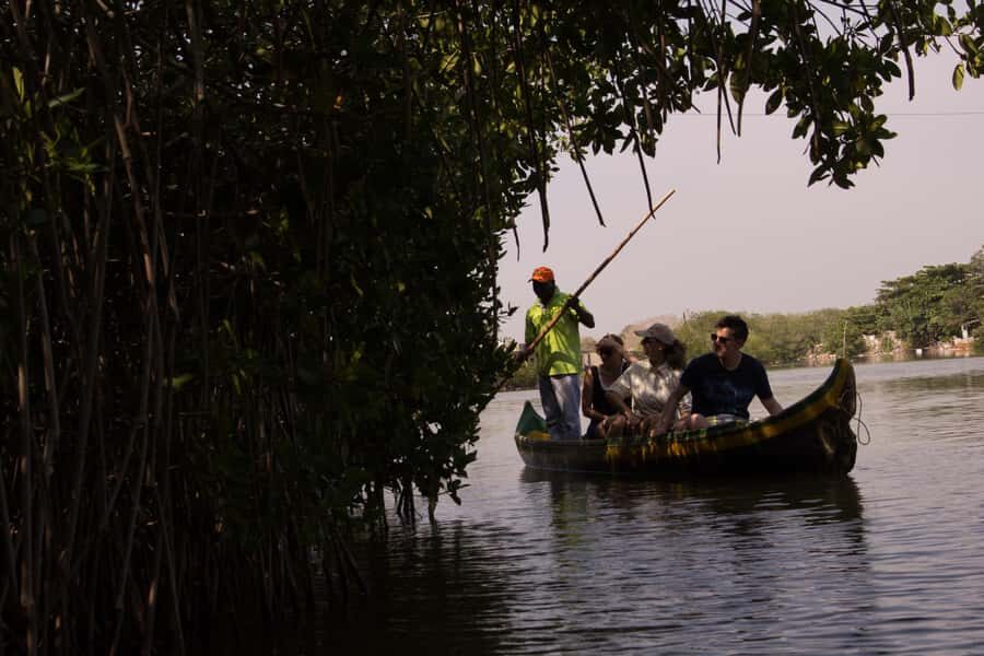 La Boquilla: 3-Hour Canoe Tour through the Mangroves - The 3-hour flow: how the timing usually works
