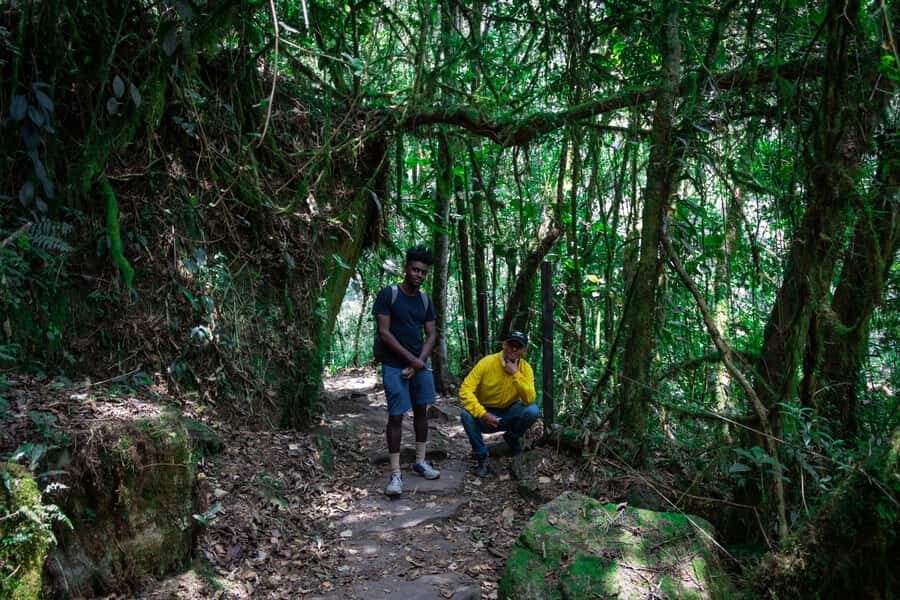 La Chorrera and Chiflon Waterfalls Private Hike Tour - La Chorrera Natural Park (Tiered 590 Meters): The Main Event