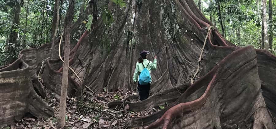 Leticia: Amazing Three Day Jungle Tours - From Leticia to the Amazon: how this trip actually moves