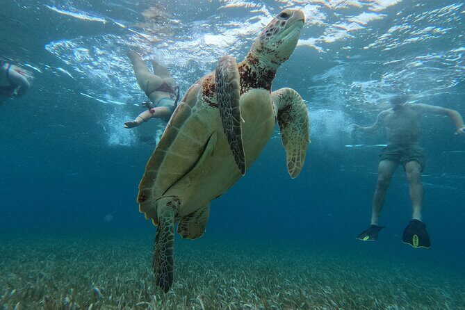 Let's snorkel Hol Chan the Best Marine Reserve in Belize - Reef Snorkel Stops Before Hol Chan Keep Your Day Interesting