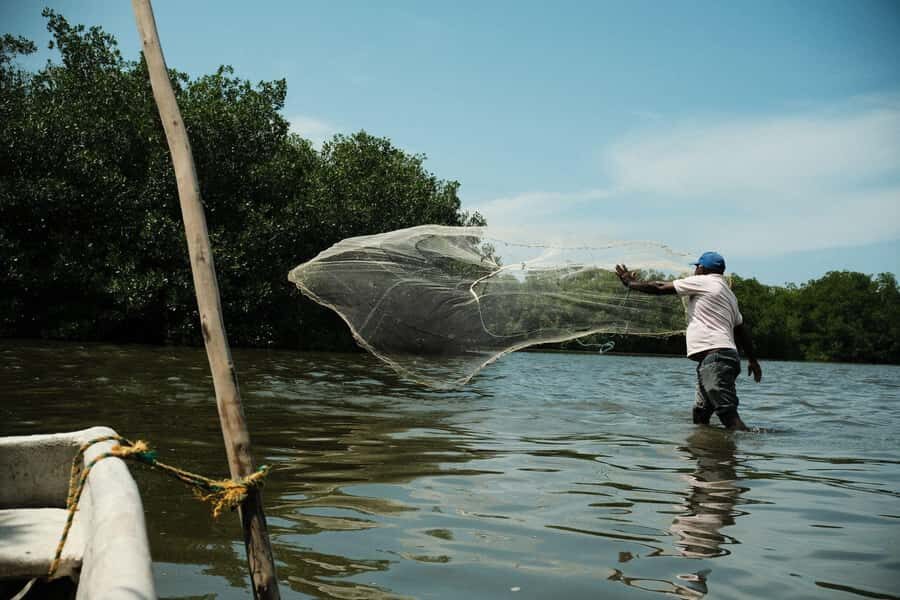 Mangroves, cultural fishing, black heritage town and lunch - From Cartagena to La Boquilla: quick ride, real atmosphere