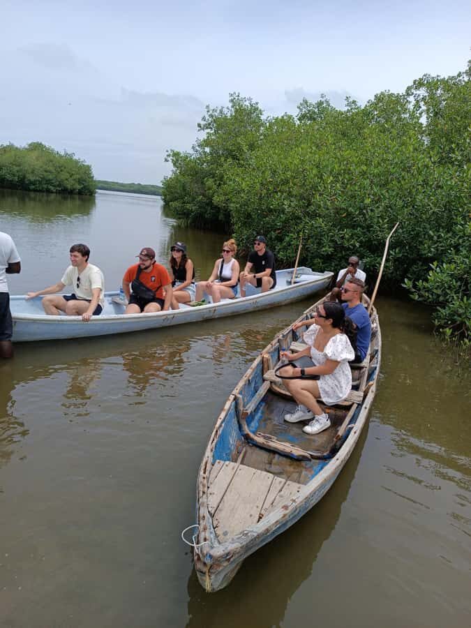 Mangroves, cultural fishing, black heritage town and lunch - What to bring (and how to make the day smoother)