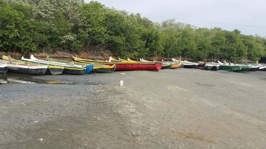 Mangroves, cultural fishing, black heritage town and lunch - Should you book this mangrove and Afro-Caribbean lunch tour?