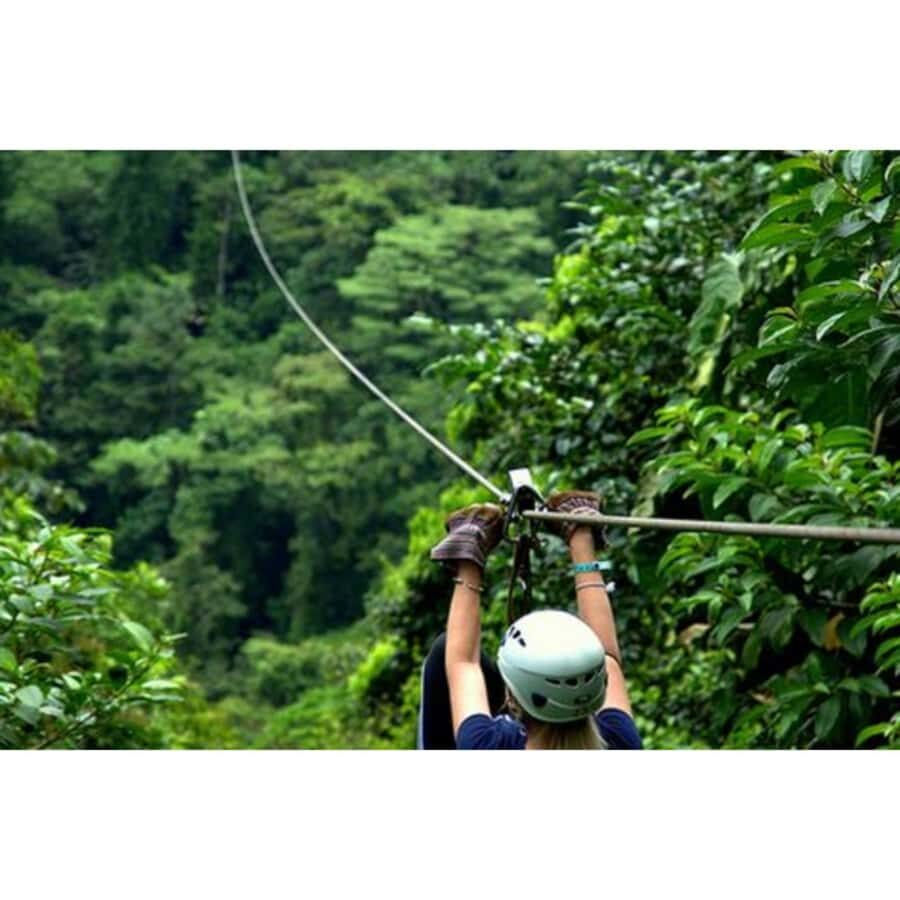 Medellin: 4-Hour Zip-Line Adventure - The Heart of the Day: Safety Gear, Certified Instruction, and the Run
