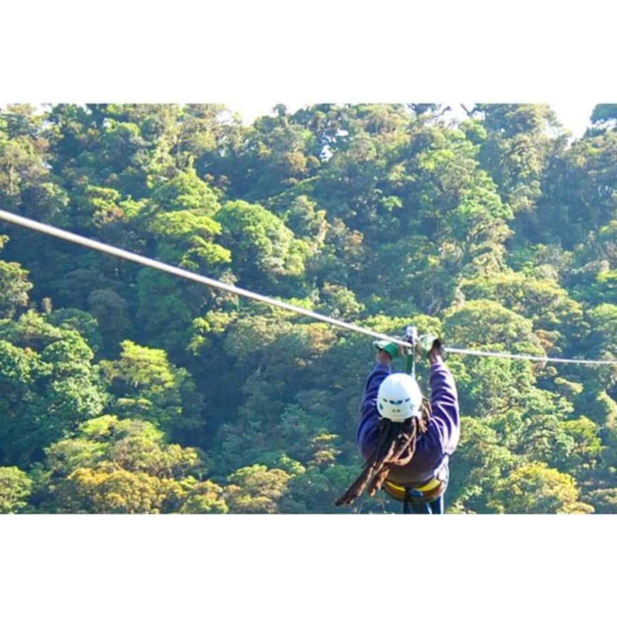 Medellin: 4-Hour Zip-Line Adventure - What You’ll Do at Each Step (So You Can Picture the Day)