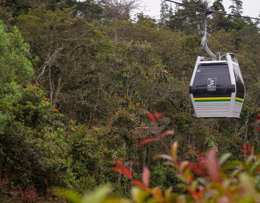 Medellín: Botanical Garden and Arvi Park City Tour - Key highlights worth aiming for