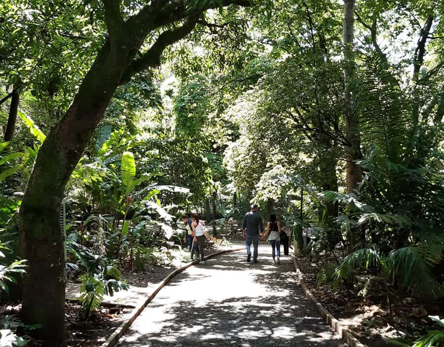 Medellín: Botanical Garden and Arvi Park City Tour - Who should book this Botanical Garden and Arví Park city tour