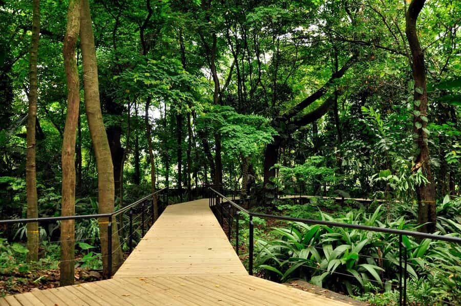 Medellín: Botanical Garden and Arvi Park City Tour - Botanical Garden, Metrocable, Arví: the Medellín nature day you can actually plan