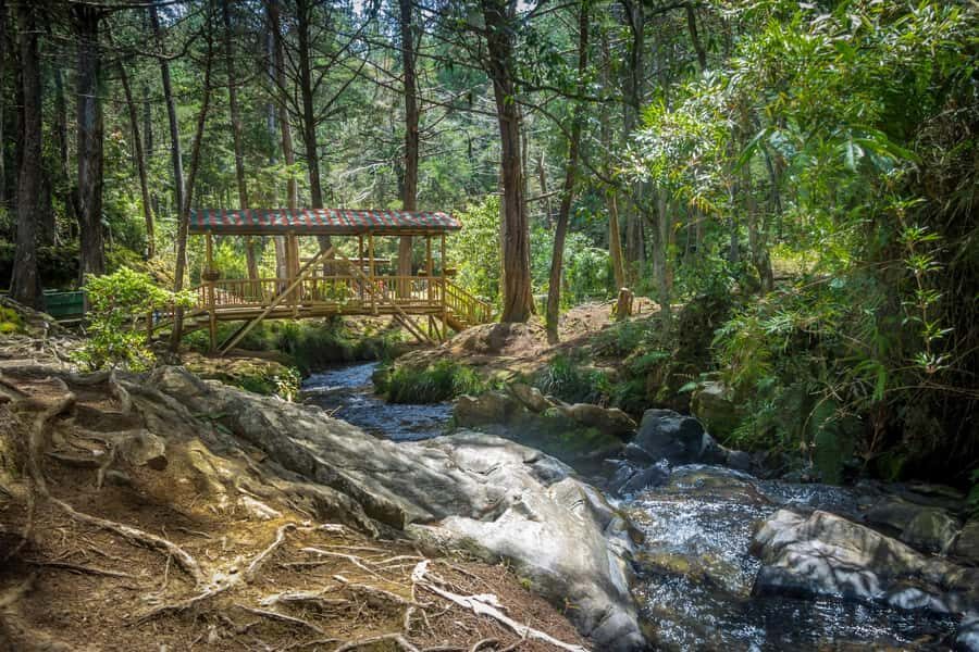 Medellín: Botanical Garden and Arvi Park City Tour - Inside the Botanical Garden: a guided walk that’s more than just pretty plants