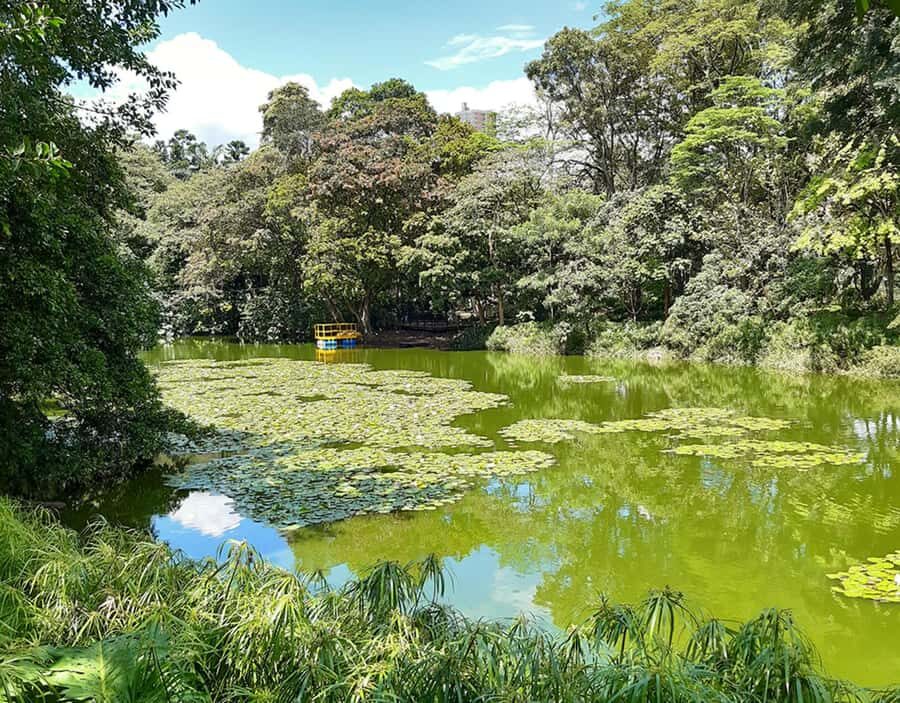 Medellín: Botanical Garden and Arvi Park City Tour - Arví Park: trails in a protected forest reserve with viewpoints to pause