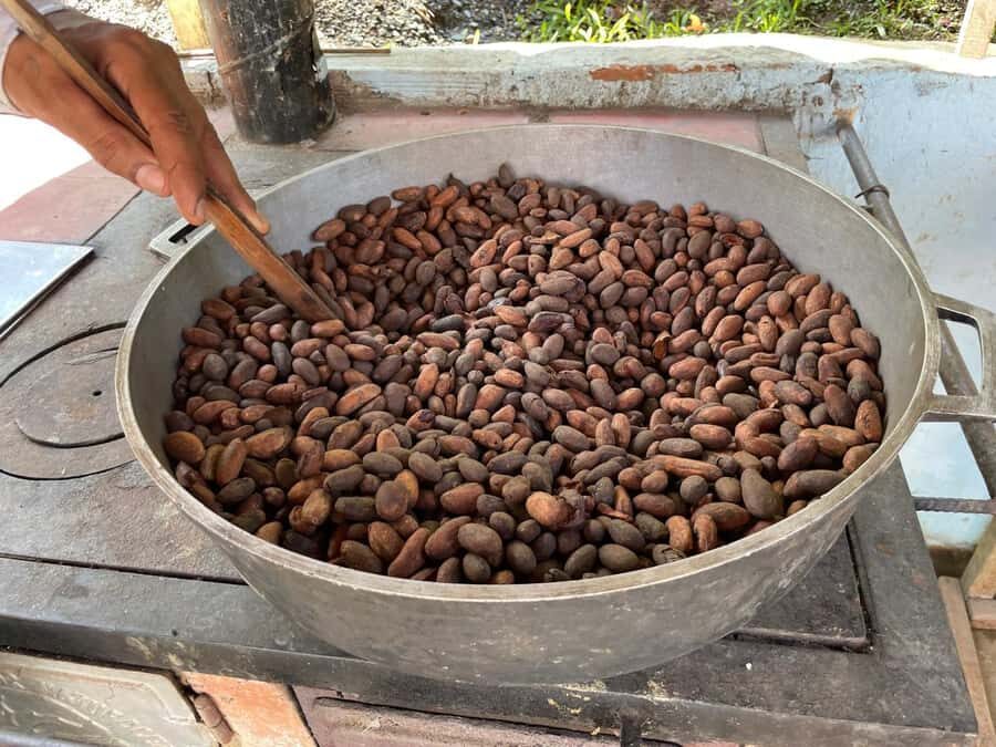 Medellín: Chocolate Tour & Exfoliation in beautiful river - A full Antioquia day: cacao education plus a river reset