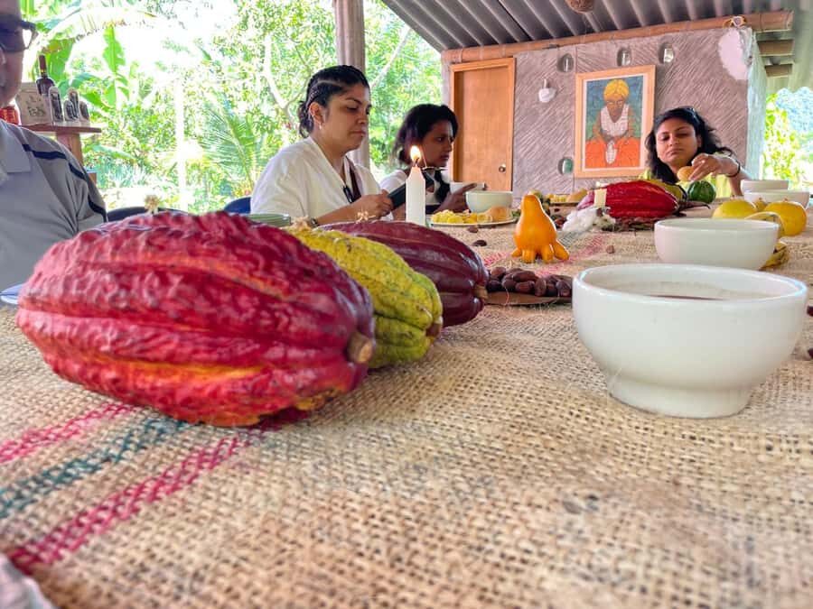 Medellín: Chocolate Tour & Exfoliation in beautiful river - San Francisco farm time: from cacao tree to chocolate bar