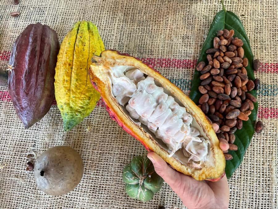 Medellín: Chocolate Tour & Exfoliation in beautiful river - Getting out of Medellín: the drive and Mirador de Cocorná stop