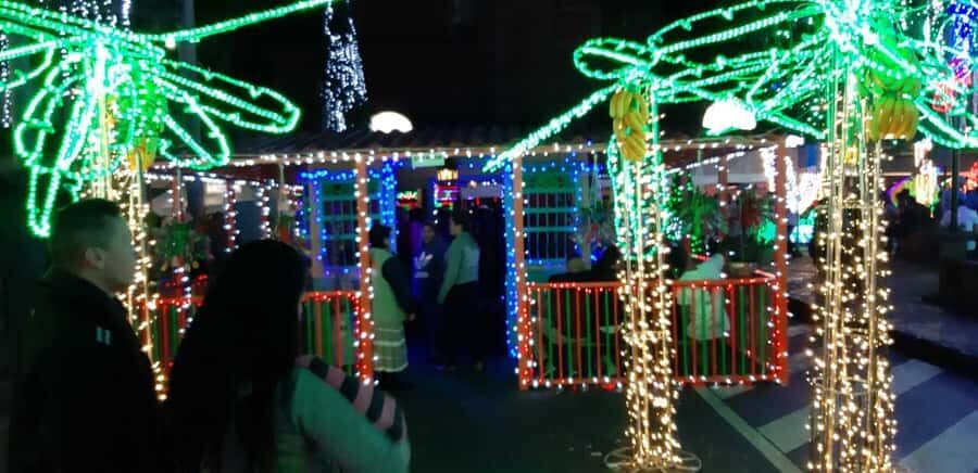 Medellin Christmas Lights Tour - Who should book this tour, and who should skip it