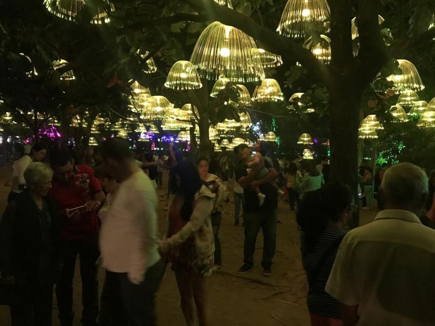 Medellin Christmas Lights Tour - The light shows themselves: why walking beats only driving past