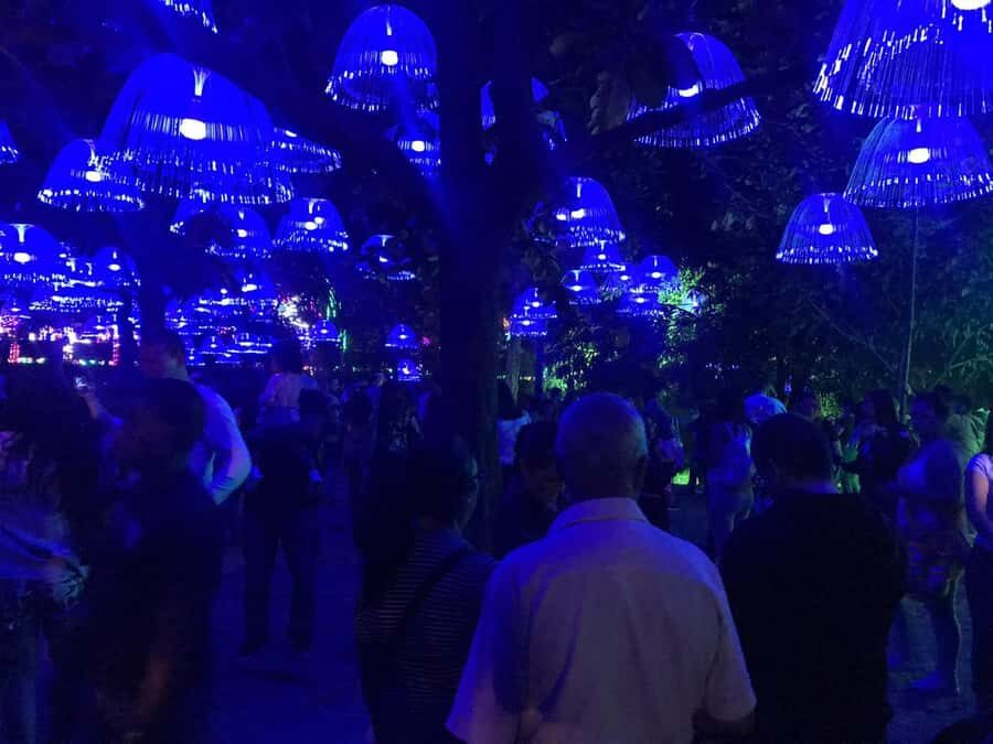 Medellin Christmas Lights Tour - Comfort and logistics that matter in Medellín at night